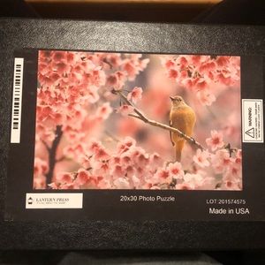 1000 Piece Jigsaw Puzzle